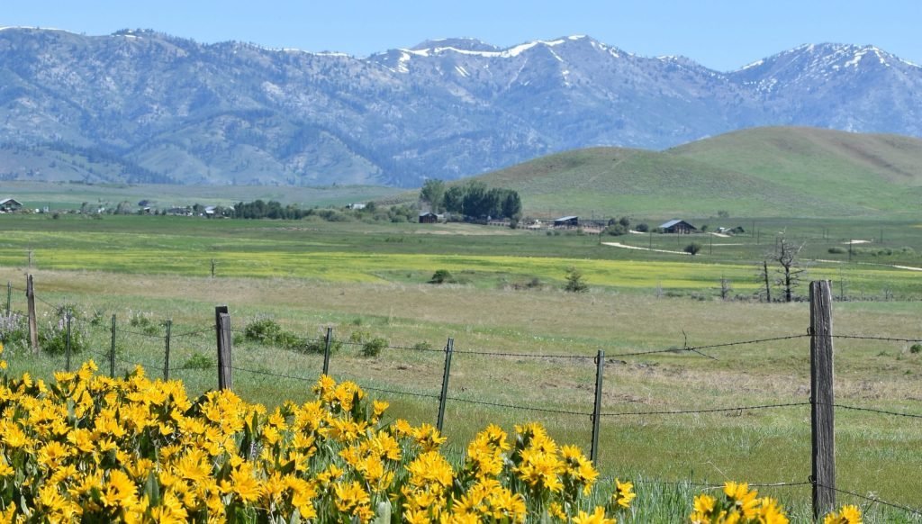 Applications and Document Links Elmore County, Idaho